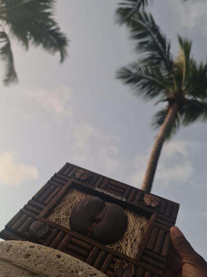 Hotel Ocean Jewels Grand’ Anse Zewnętrze zdjęcie